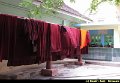 Boudry Andy - Magnifique Birmanie - 325